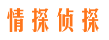 兴隆台市私家侦探